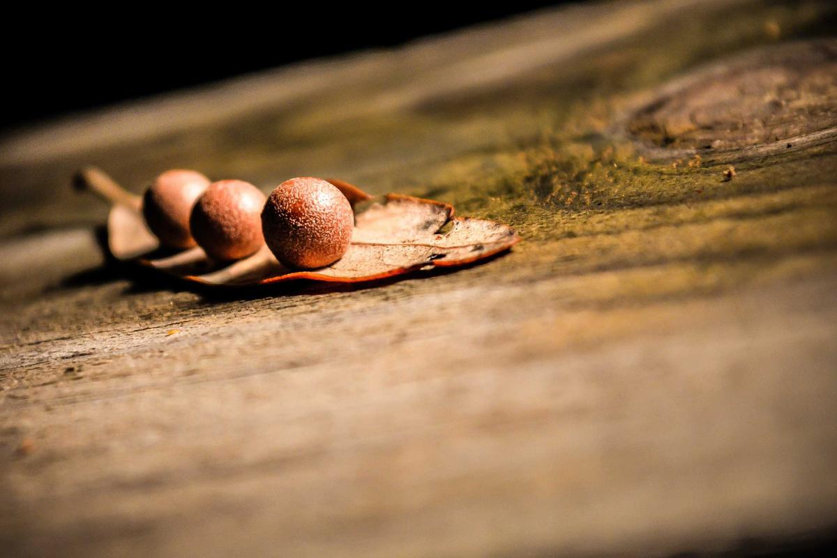 欧飞思广告设计现场配图0