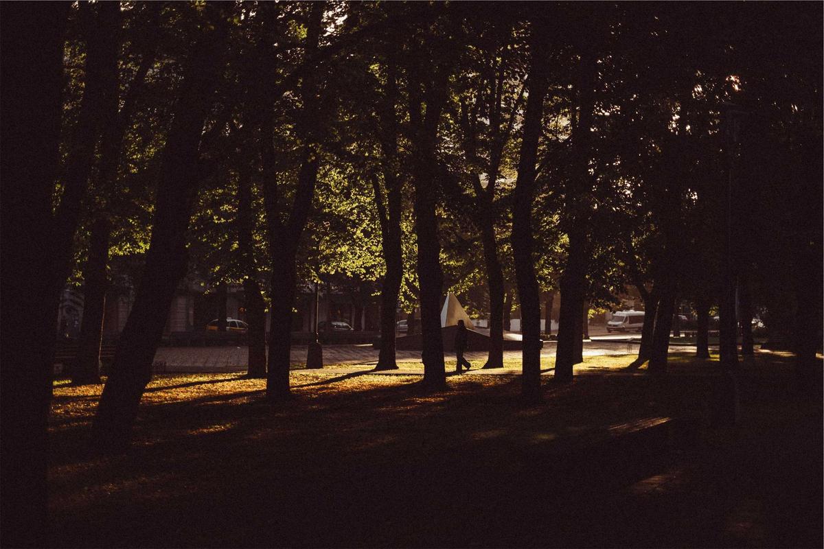 欧飞思品牌传播现场配图1